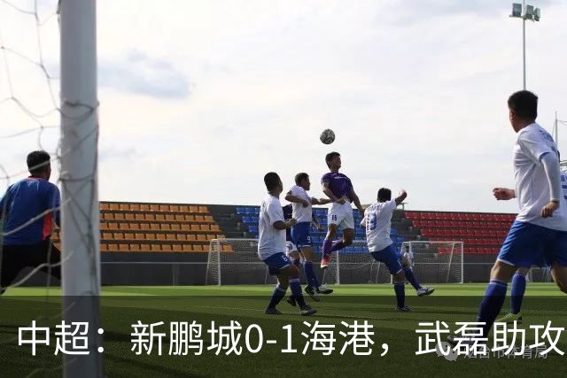 中超：新鹏城0-1海港，武磊助攻蒯纪闻攻入中超首球